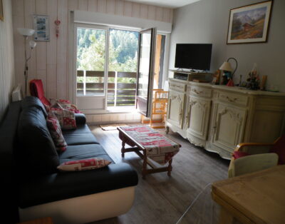 APPARTEMENT COSY FACE AUX PISTES,AVEC WIFI