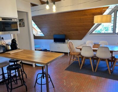 Charmant Duplex 55m2 centre village St Lary